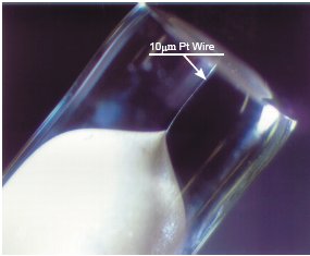 Micro Pt electrode 10µm Micro Pt electrode 10µm