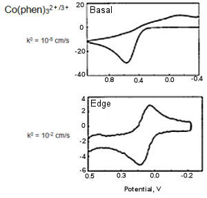 Basal and Edge CV Basal and Edge CV