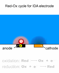 Redox cycle Redox cycle